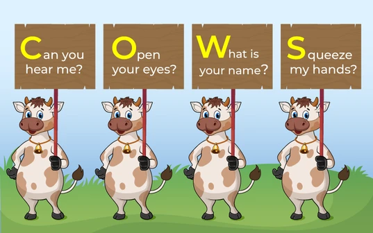 COWS instructions for a response in DRSABCD