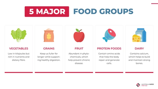 Infographic about the Five Major Food Groups
