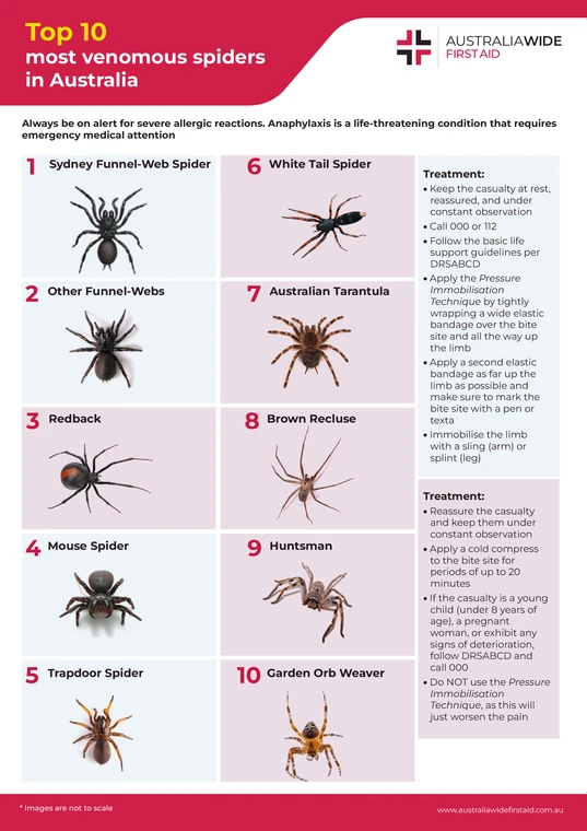 spider-bite-identify-treat-chart_1810