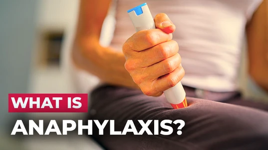 What is anaphylaxis article header
